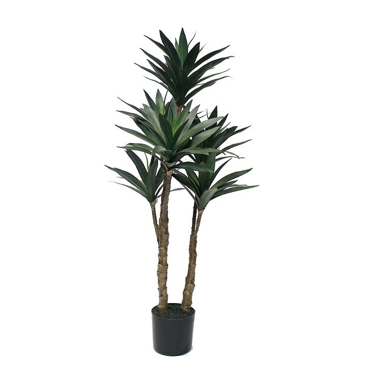 Dracaena Potted Artificial Plants NZ Avisons Avison's Home & Giftware