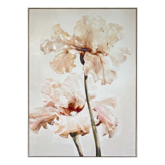 Blush Iris Canvas Art