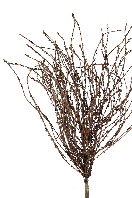 Dried-look Birch Twigs - 42cm