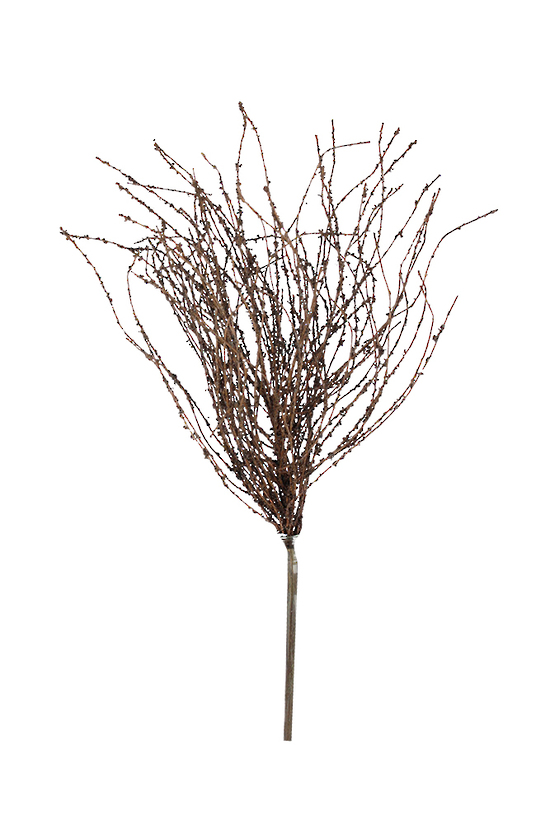 Dried-look Birch Twigs - 42cm