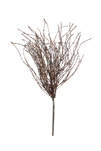 Dried-look Birch Twigs - 42cm