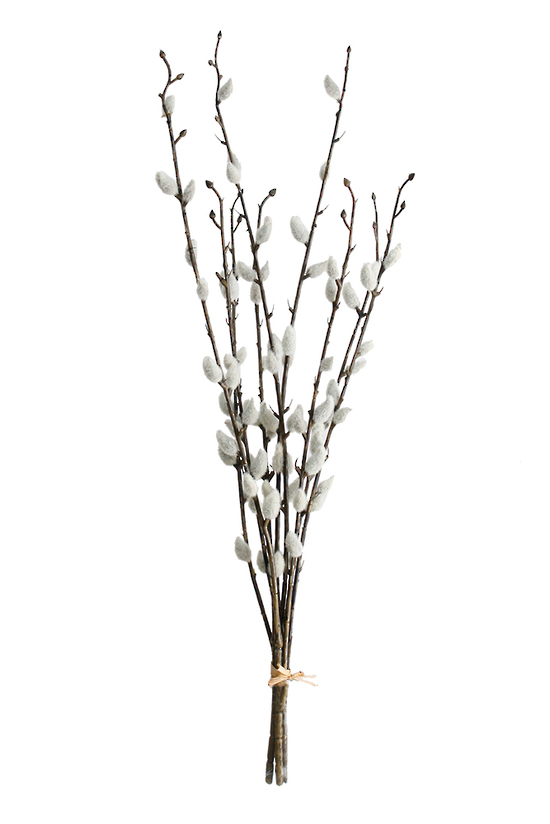 Pussy Willow Bundle - 55cm | Artificial Plants | Avisons