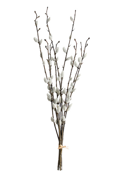 Pussy Willow Bundle - 55cm | Artificial Plants | Avisons