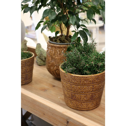 Cairo Planter | CC Interiors | Avisons