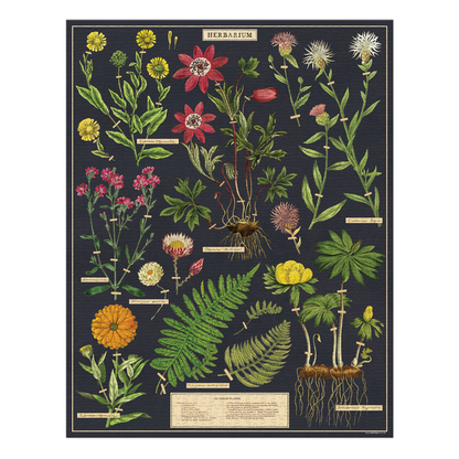 Cavallini Herbarium Puzzle